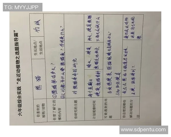 武汉篮球队心理素质提升之道探讨与实践分析