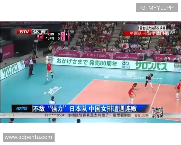 南京排球队的节奏揭秘与深度解析探讨排球运动的魅力与技巧